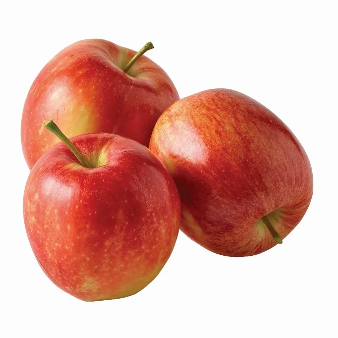 Buy Fresh Gala Apples | USA Home Delivery | Wholesale | Bulk | Export Directly From The Farm | Fast Shipping