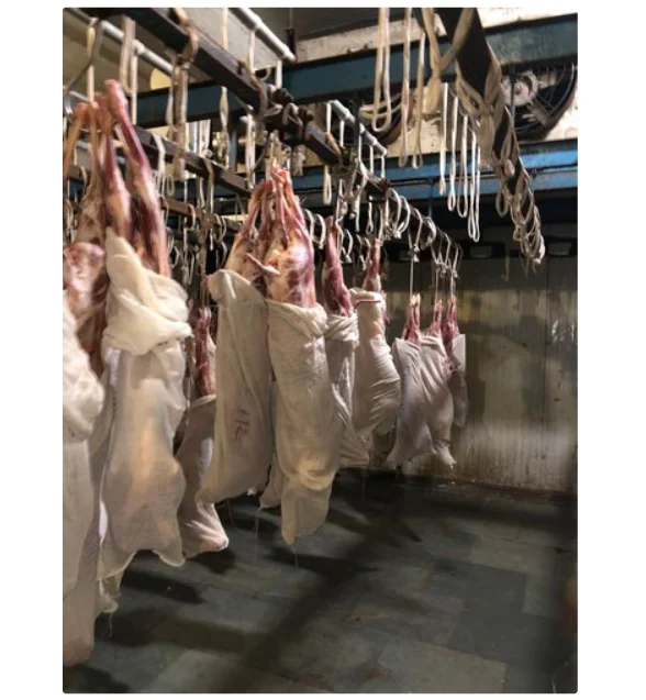 Halal Frozen Beef Meat Carcass