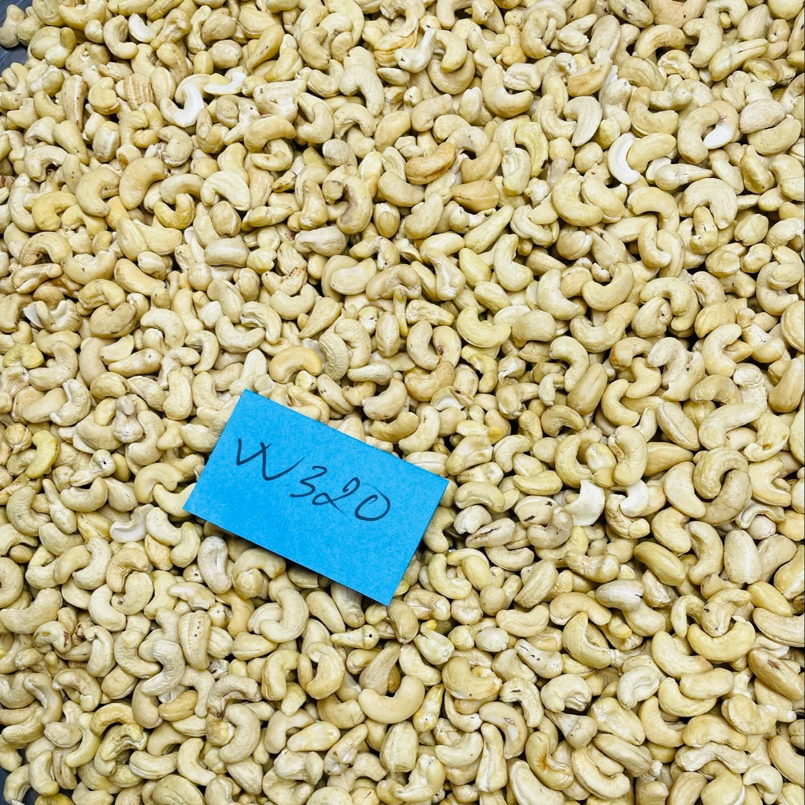 [Best Price] Full Certificates Cashew Nuts Imported Raw Cashew Nuts Vietnam Premium Cashew Nuts From Reliable Supplier