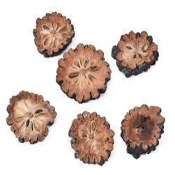 Popular Premium Quality Ata Slice for Wedding Home Event Office Decor & Dried Flower Arrangement