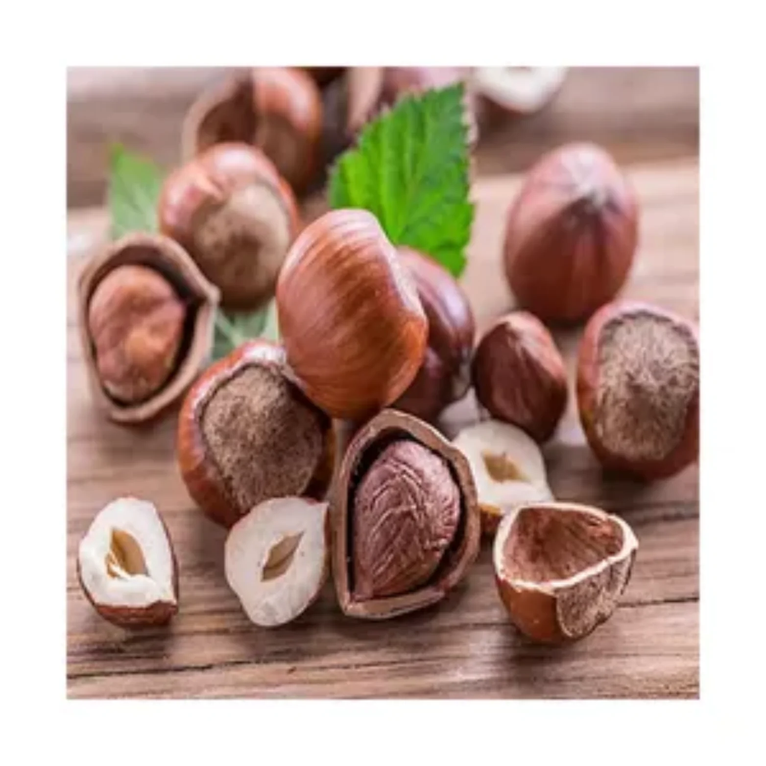 Suppliers Roasted Hazelnut  Dry Hazelnuts for Sale OEM Shell Box Style Packaging FOOD Organic Color