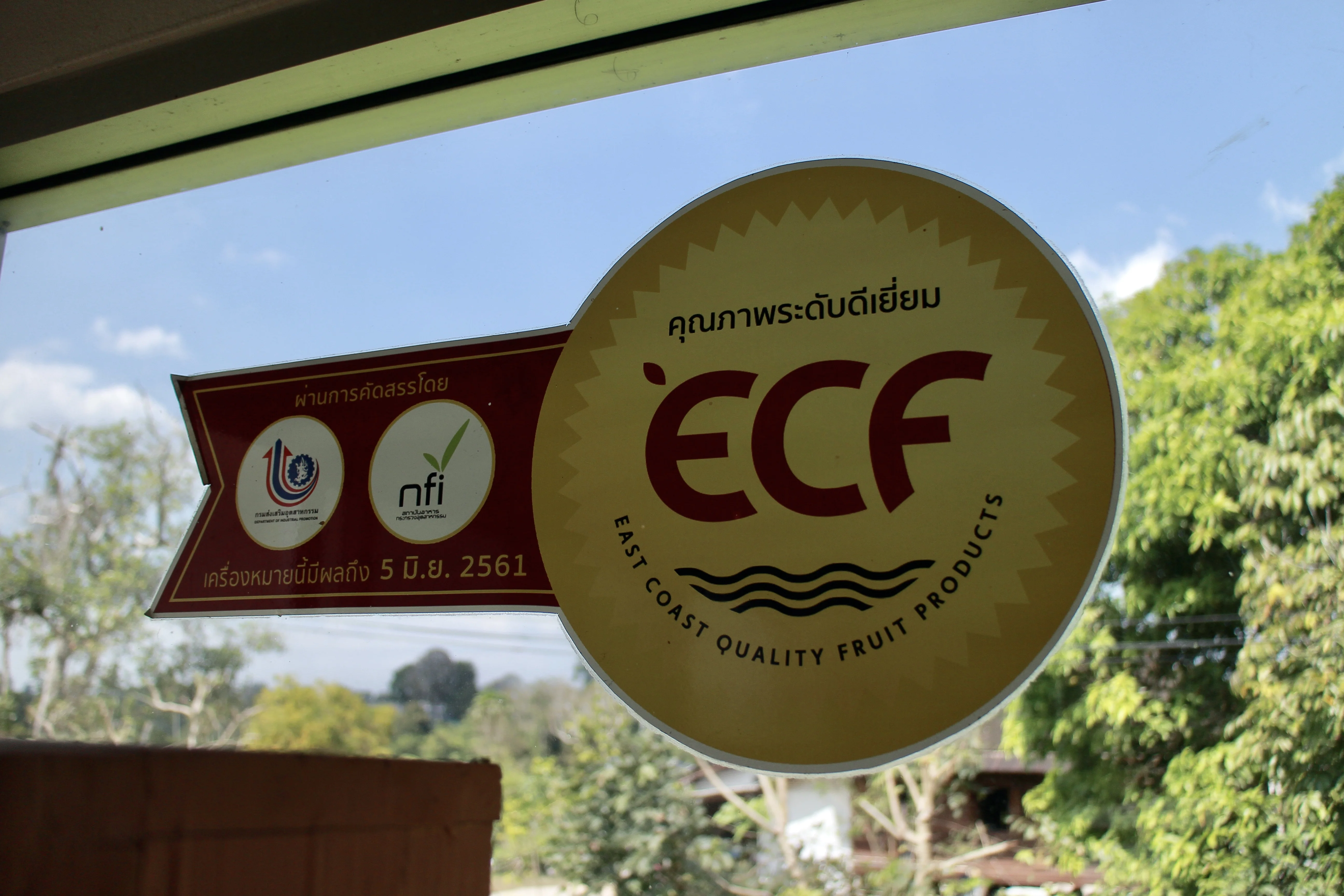 Vacuum Fry Banana Chips 1kg Product of Thailand with GMO