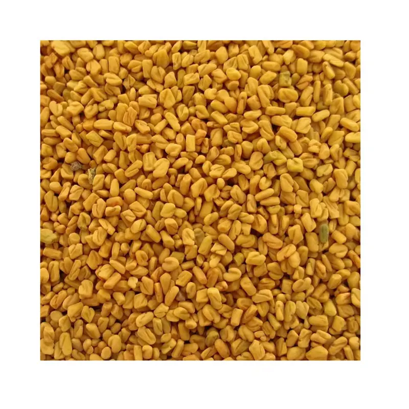 100% Natural Fenugreek Single Spices & Herbs Best Dried Fenugreek Seed Available At Low Price
