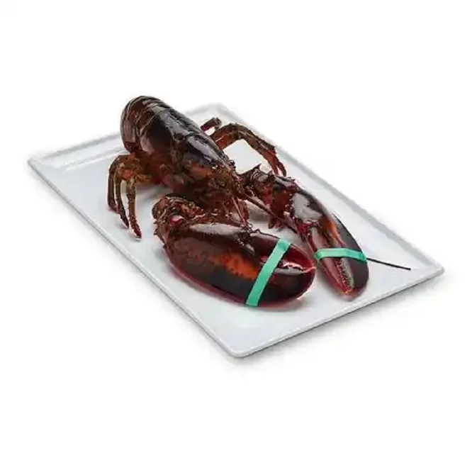 Seafood Fresh and frozen Lobster, LIVE and FRESH LOBSTER