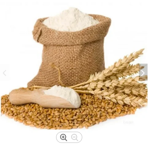 PREMIUM QUALITY whole grain wheat for sale wheat grain wholesale buy wheat grain
