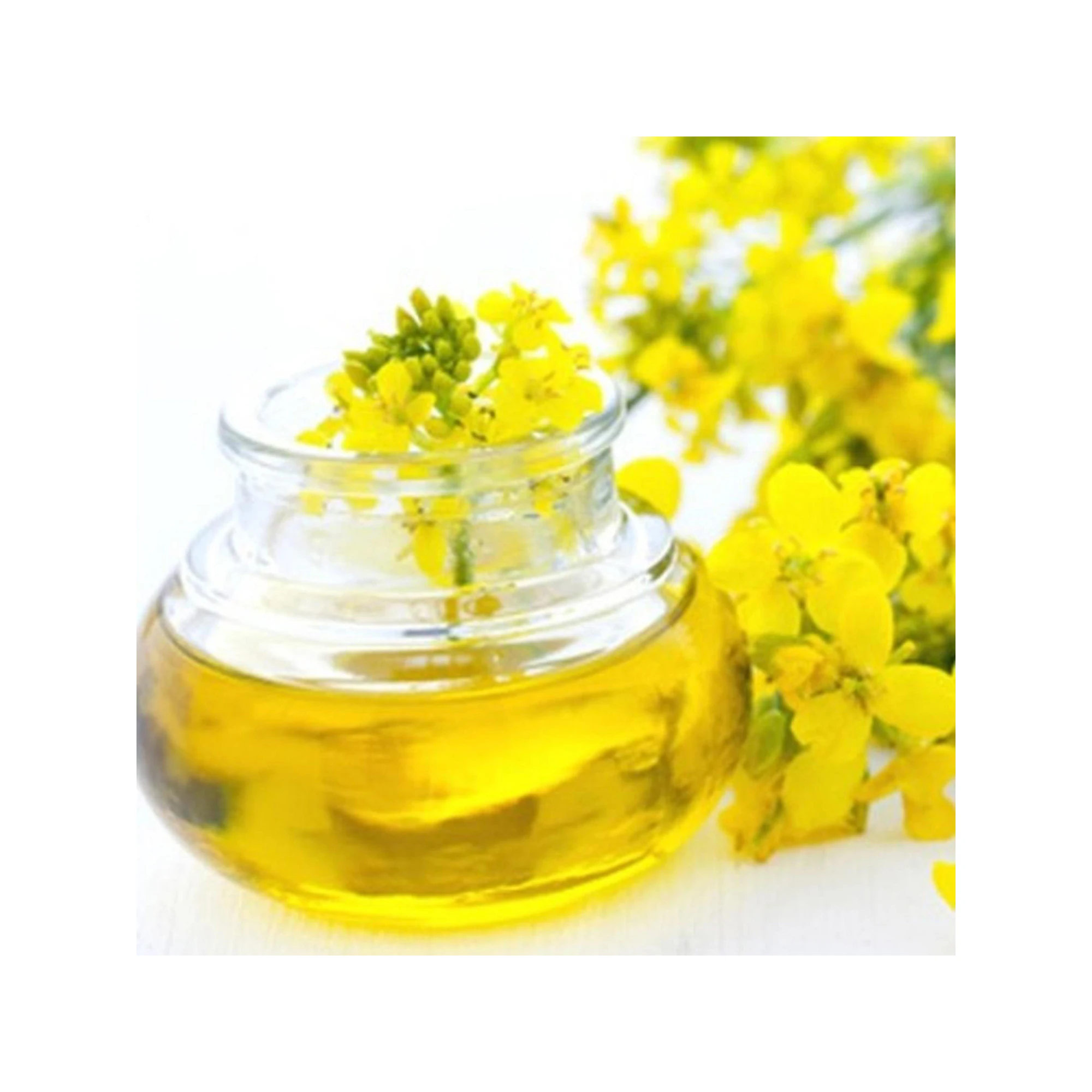 Crude Rapeseed oil Certified Organic 100 % Pure Refined Rapeseed Oil