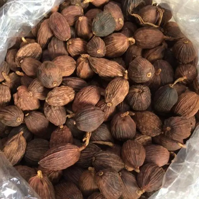 100% High Quality Herbs and Spices Food Ingredient Vietnamese Cardamom Ready To Ship