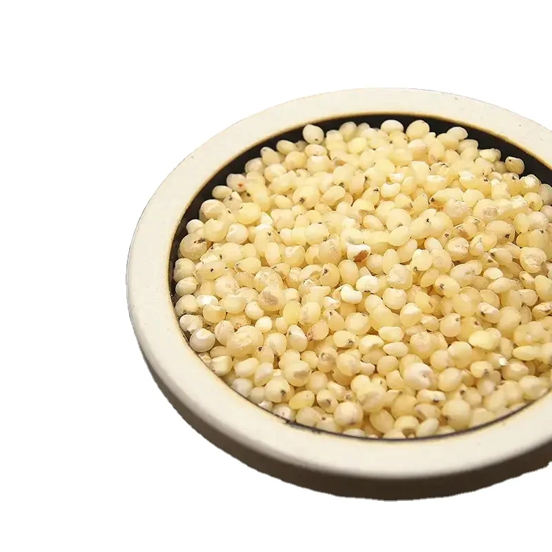 Bulk Sorghum Grains Bulk Red and White Sorghum seeds Price Per Ton for Birds Food