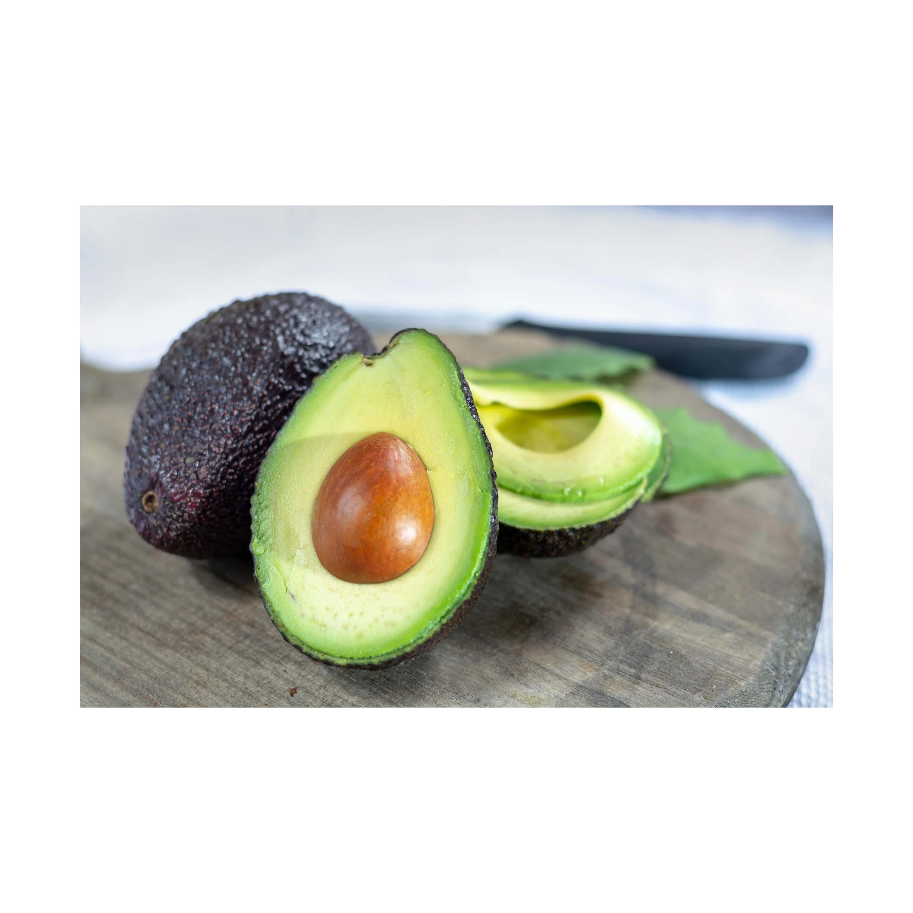 Fresh Avocado For Worldwide Export - Fresh Avocado at Best Price for Wholesaler