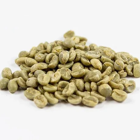 Coffee Beans Top Quality Dried Organic Arabica/Robusta Non-GMO at Wholesale Price