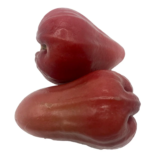 Высокое Качество Импортные цвета розы яблоко температура измеритель качество выбор свежие розы яблоко