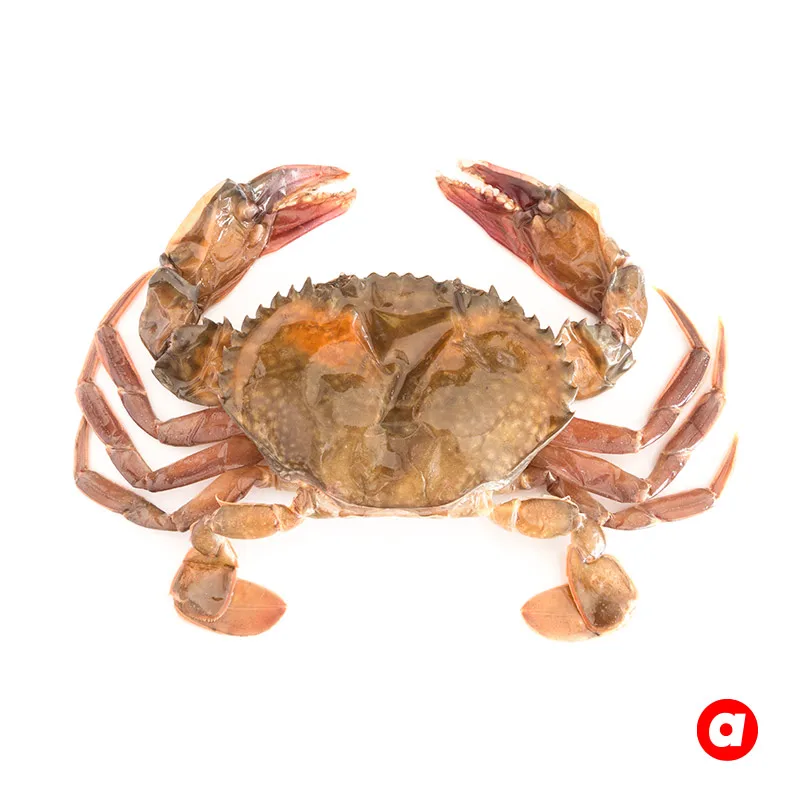 Large Sizes Soft Shell Crab Good Taste Premium Grade High Protein Frozen Soft Shell Crab Origin From Malaysia