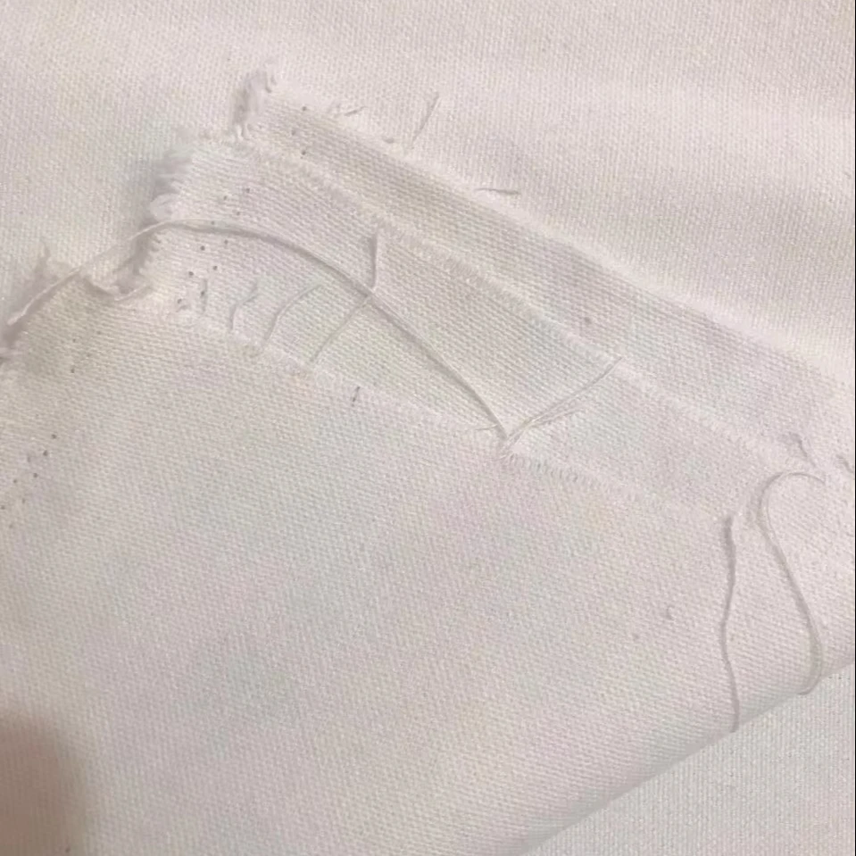 Swiss Voile Lace Fabric Cotton Canvas RFD 10 OZ 60 Inches