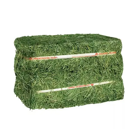 alfalfa hay exports