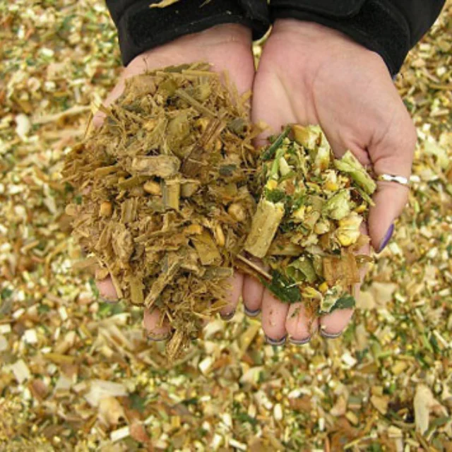 High Quality Corn Silage For Animal Feed Cheap Price Corn Feed for Cows, Goats, Sheep, Hor Available in Large Quantity