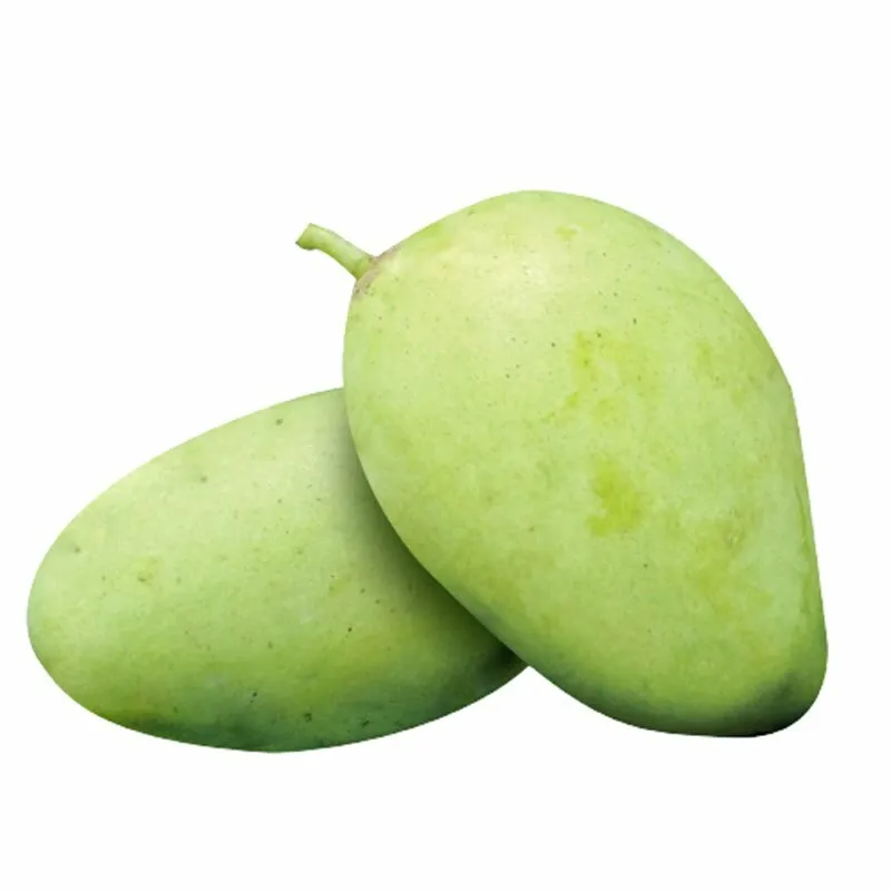 Fresh mango type kaew sweet dark yellow meet ready for ship export into many country all over the world