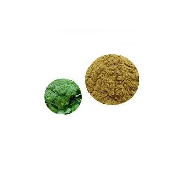 Main Product Sulforaphane Glucoraphanin Supplements Use Broccoli Seed Broccoli Extract Powder From India
