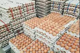 Fresh Chicken Table Eggs Brown and White Shell Chicken Eggs for sale