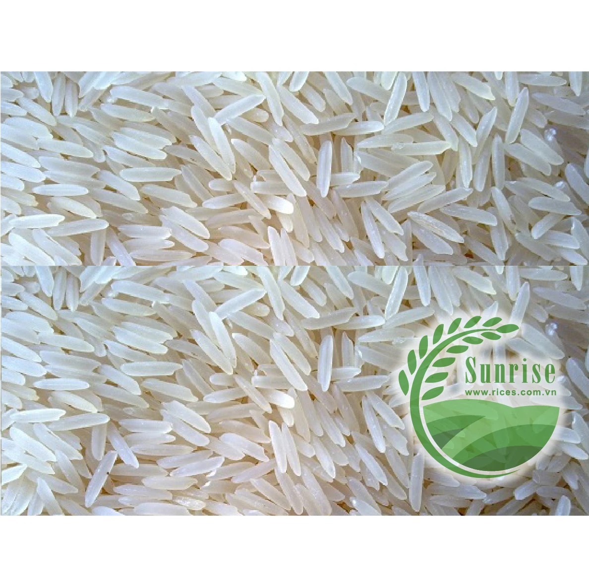 BASMATI WHITE RICE FROM VIETNAM IN BULK/ RIZ GOOD PRICE