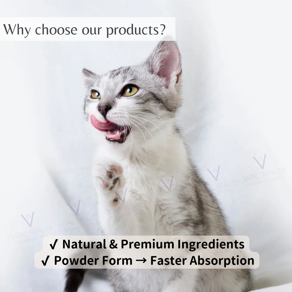 100% Natural Pet Immunity Powder Sachets with Custom Logo Stronger Immune System Booster for Dogs and Cats