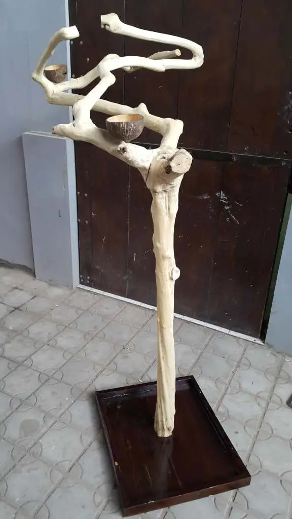 Java wood Coffee wood parrot bird perch tree Parrot Playstand Bird Toys for Parrot Raw Wood Fork Tree Branch Kimy +84938616690