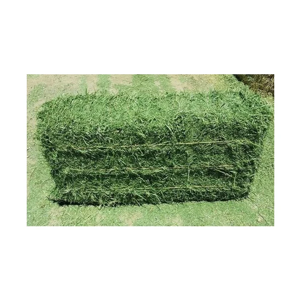 Alfalfa Hay for Animal Feeding /alfalfa hay pellets /Timothy Hay in Bales