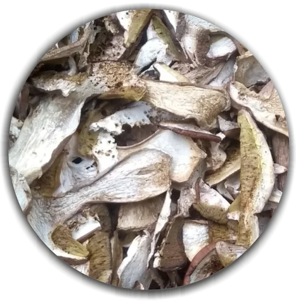 Dried Boletus edulis also know as Porcini and Cepas. Second grade. Wild natural dehydrated mushroom.