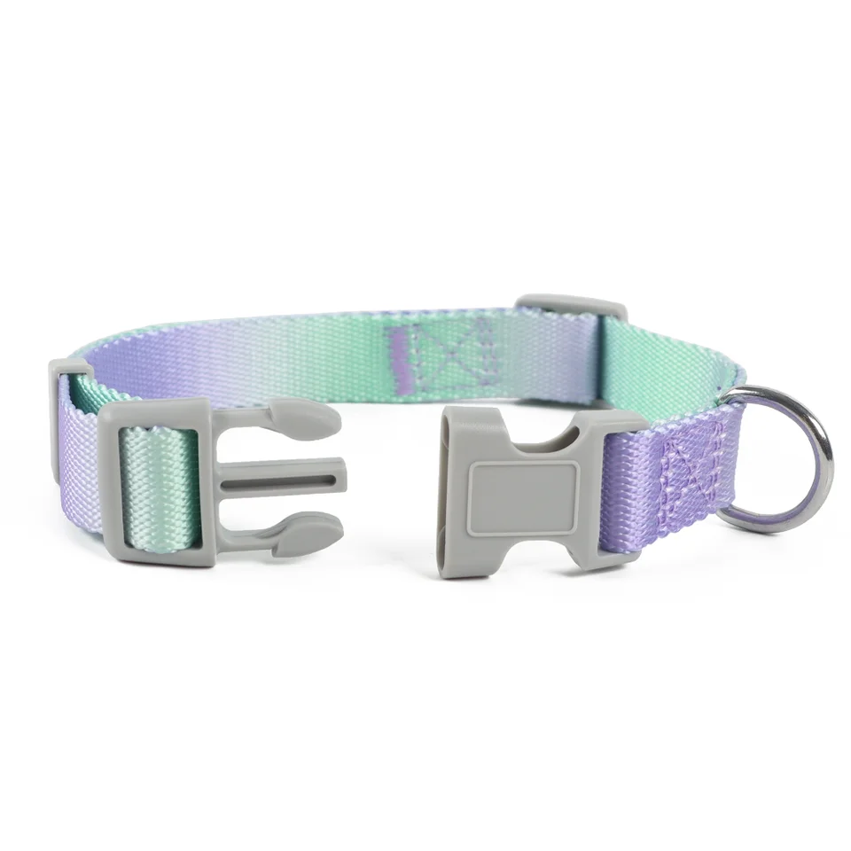 Luxury Dog Collar for Gradient Color Small Medium Large Breeds Nylon Custom Designer With Best Price