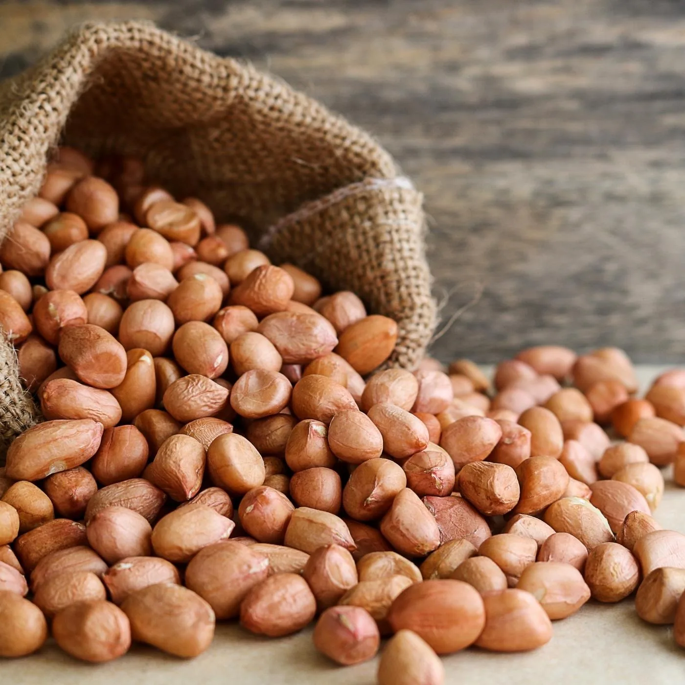 Best Price Premium Quality Fresh natural raw Dried New Crop Peanut for food Sale Bulk Reasonable Price Pure Peanut