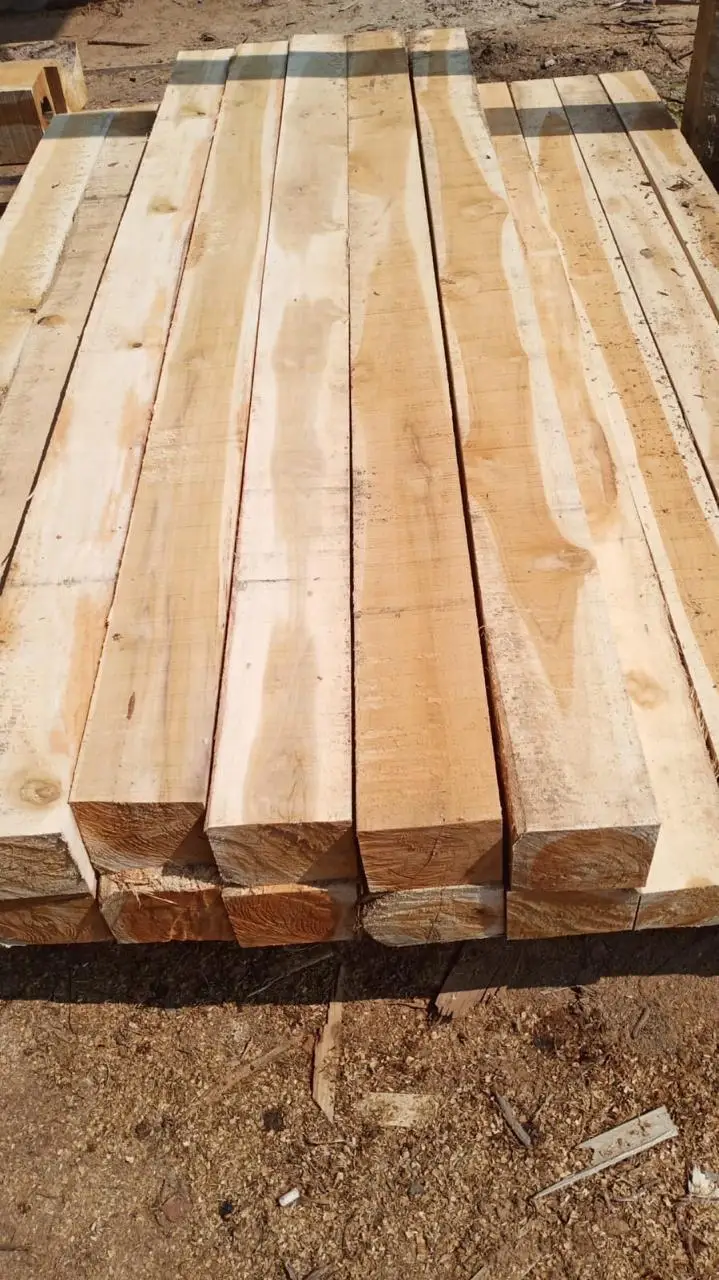 Premium Quality Teakwood Logs Raw Material Clean Cut Rough Squares Excellent Value!