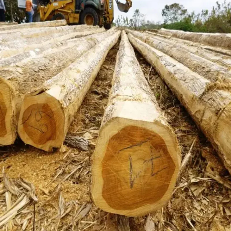 Top Selling Round Teak Wood Tali Wood Padouk Pine Low Price