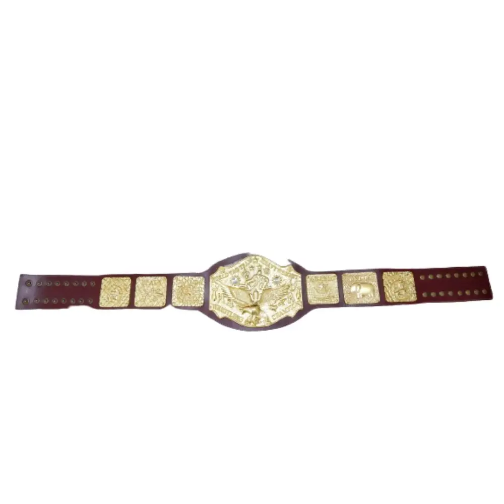 World Tag Team Heavyweight Wrestling Champion  world tag team championship history  wwe world tag team champions belts