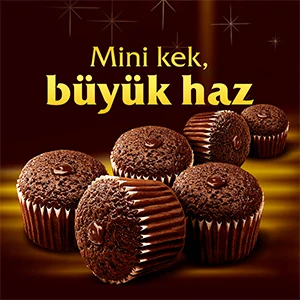Wholesale Delicious Chocolate Cake Eti Browni Gold Mini Cocoa 180 Gr.