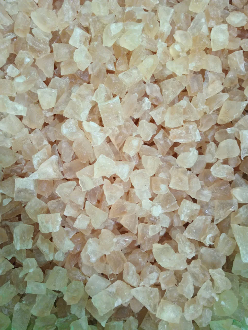 STERCULIA FOETIDA TREE GUM / ORGANIC & VERSATILE / MADE IN VIETNAM