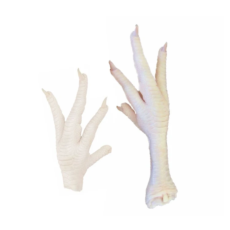 Wholesale Frozen Chicken Feet and Paws Premium Grade Frozen Chicken Paws