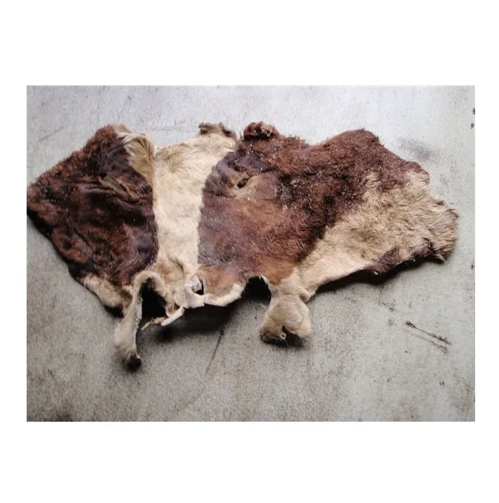 Bulk Supply Wholesale Price Top Quality Raw Wet Salted and Dried Cow Leather / Hides / Skins Available For Sale