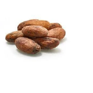 Good Quality Dried Cocoa Beans for sale