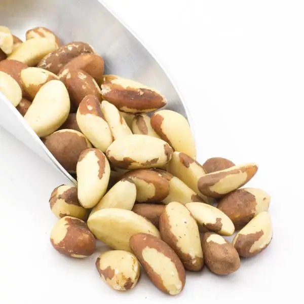 Dried raw natural brazilian nuts 1Kg / Bulk supply Brazil nuts for food