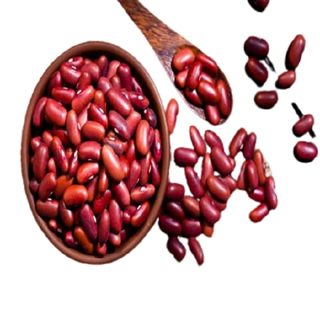 Fast Delivery Highest Quality Dry Red Beans Bulk Wholesale Natural Red Speckled Kidney Beans for Sale