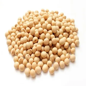 Soya beans Fresh Stock Wholesale Price High Quality