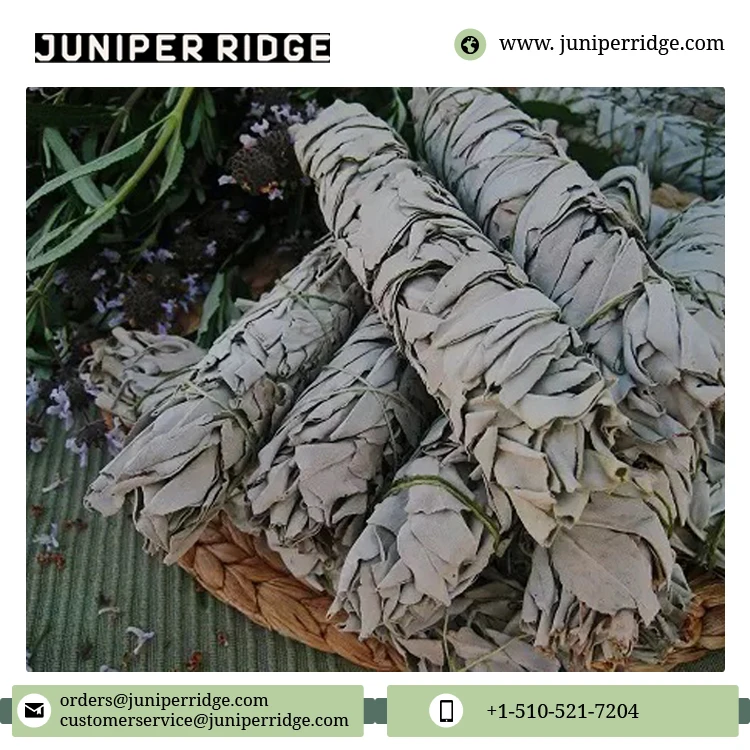 Bulk Quantity Home Cleansing Meditation Incense Stick White Sage Smudge Incense for Sale