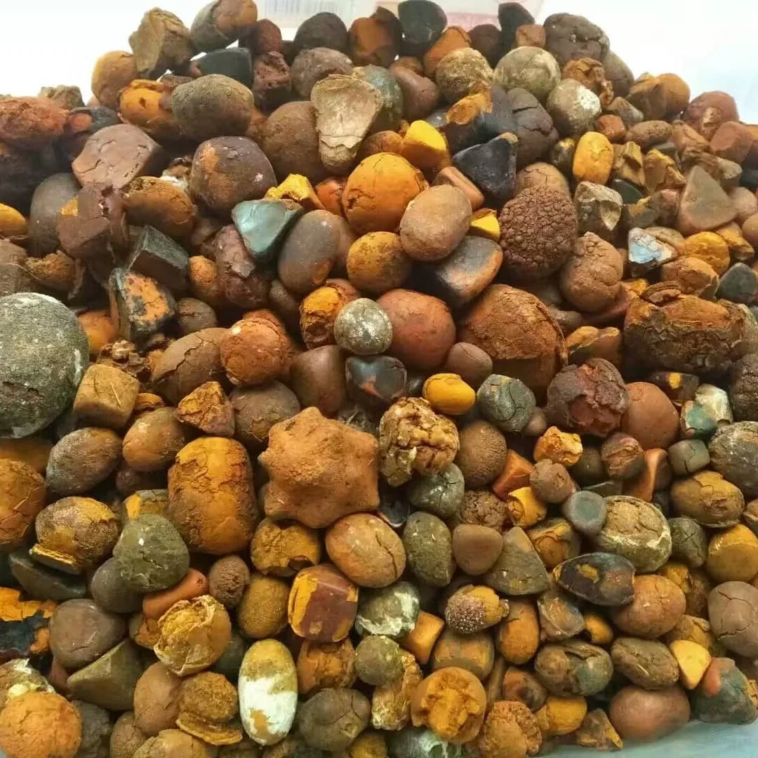 Natural Cow gallstone Ox Gallstone Outstanding Natural 100% Cow Gall Stones / Ox Gallstones