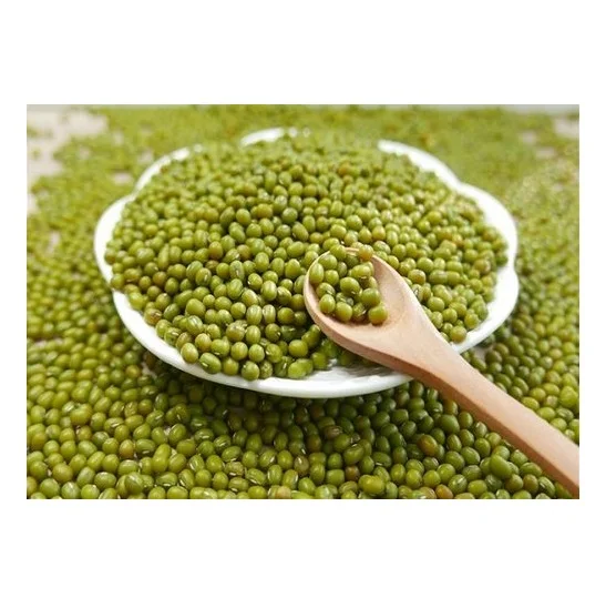 Hot Selling Price Of Green Mung Beans / Whole Moong Beans In Bulk Quantity