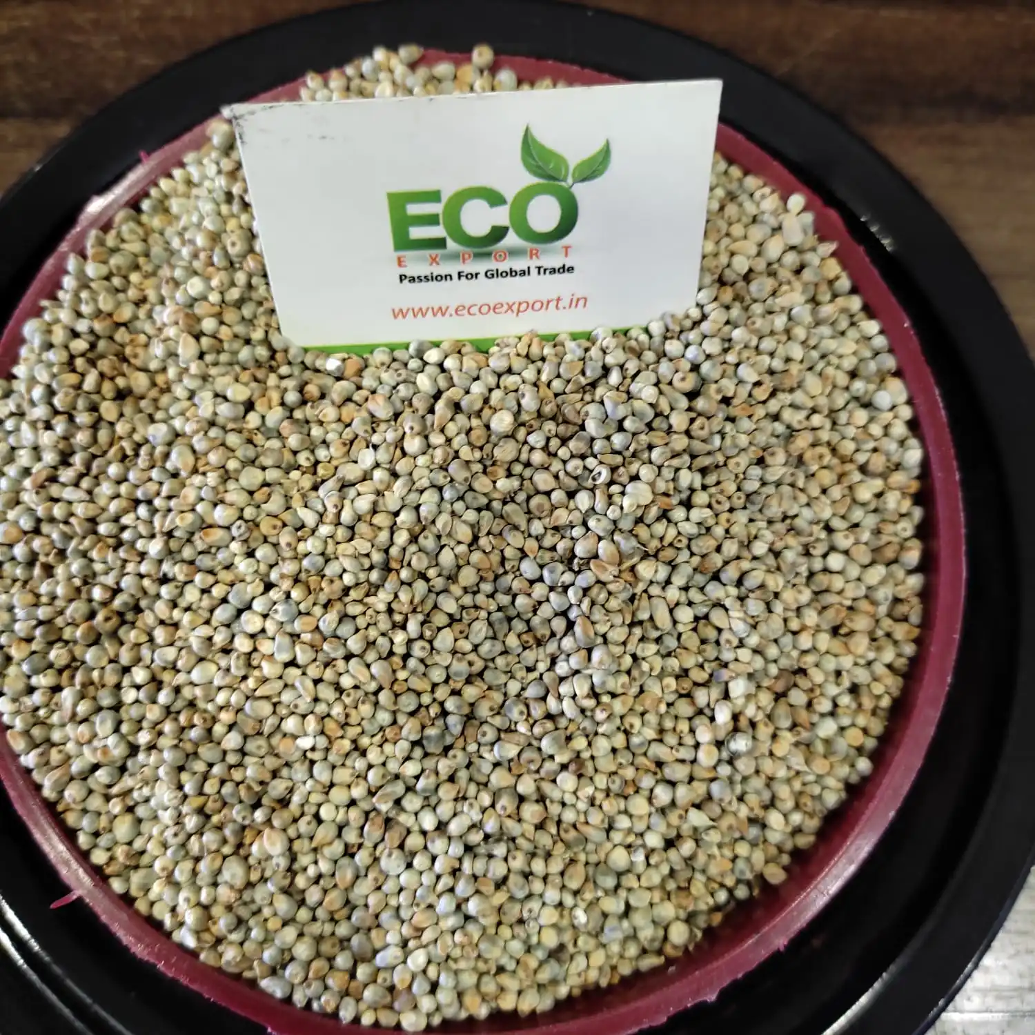 Green Millet Grains Seller From India