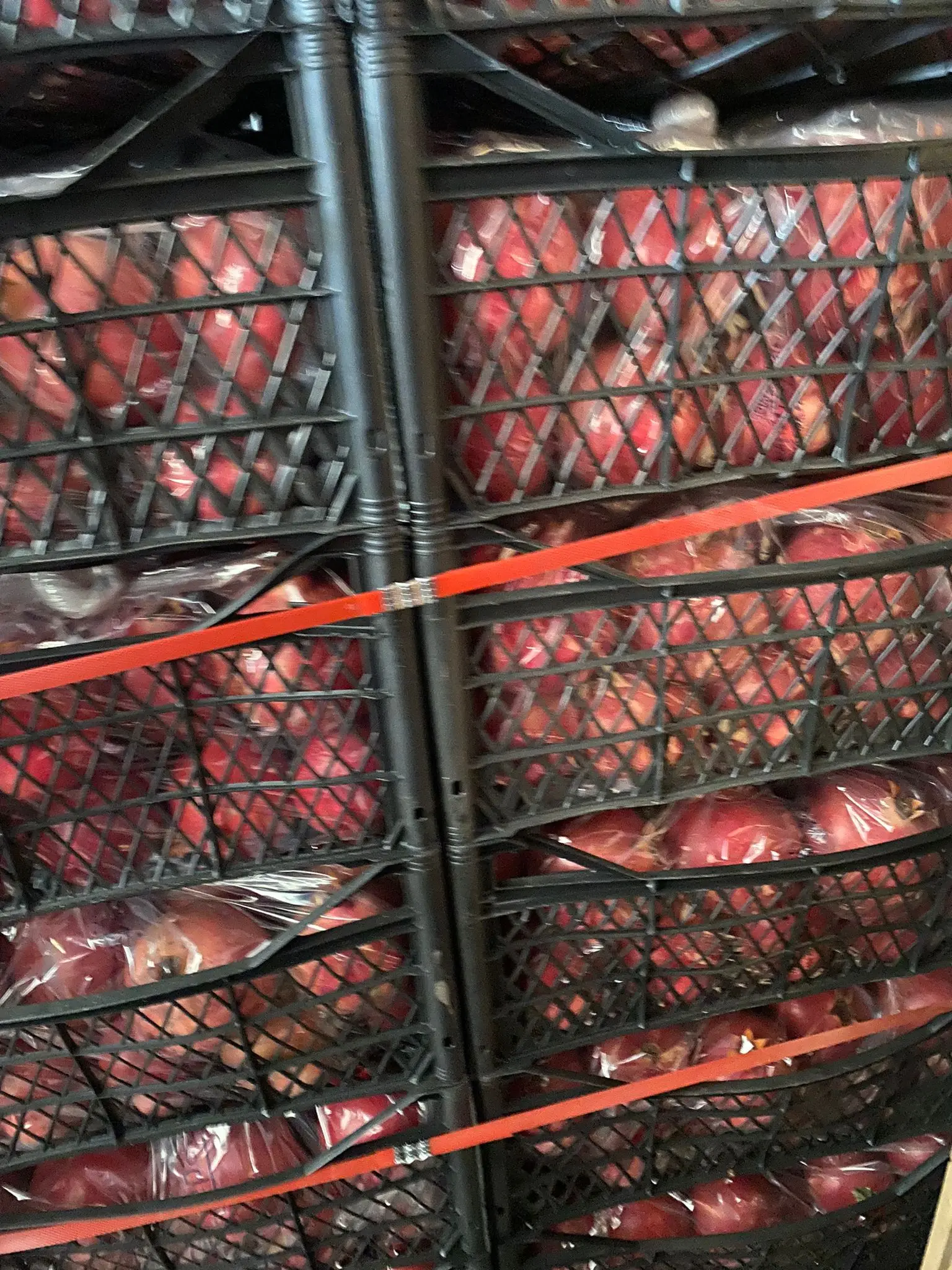 Pomegranade Red Colour Number 1 Quality %100 Organic  Fresh Turkish FruitFresh Turkish  Pomegranade