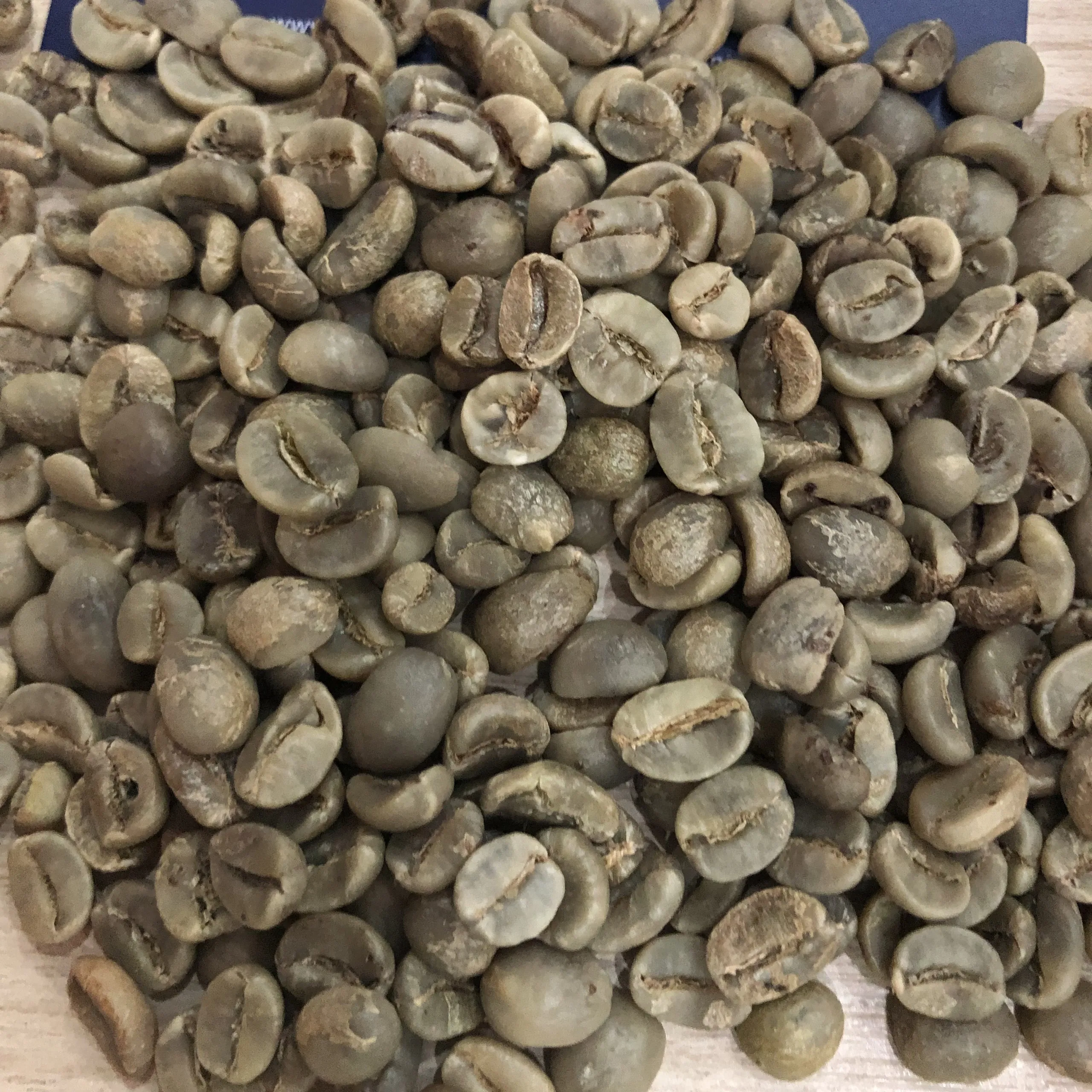 Top selling product at factory VietNam Coffee Arabica High quality Wholesale Price Good price Ready to Export WA: +84356084695