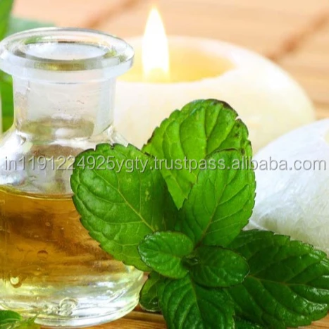 100 Pure Natural Peppermint Essential Oil GMP ISO Certified Customized Private Labeling Wholesale Retail OEM ODM Supply