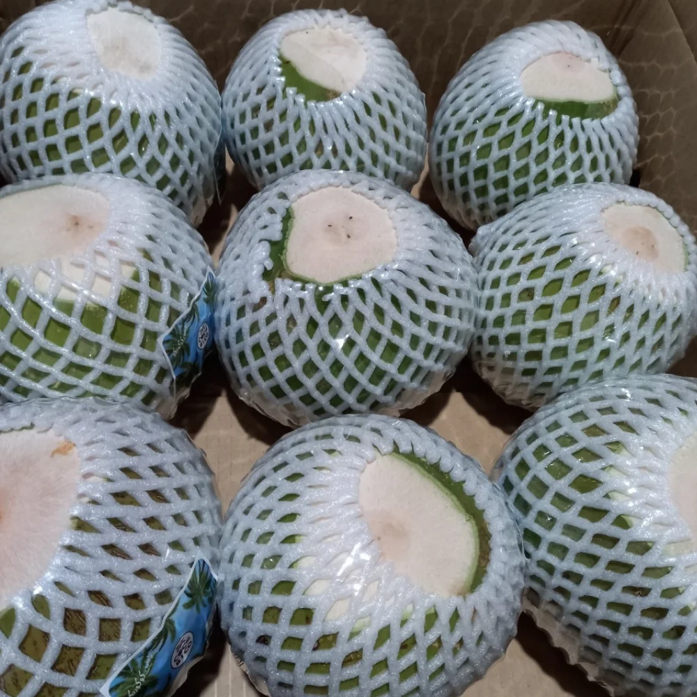 Fresh Young Coconut Wholesale for Drinking and Cooking Premium Quality from Viet Nam Manufacturer