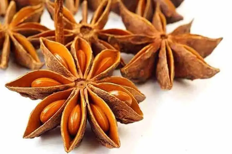 Good Price for Standard Star Anise from Vietnam Export All Grade in Bulk Quantity and Top Quality