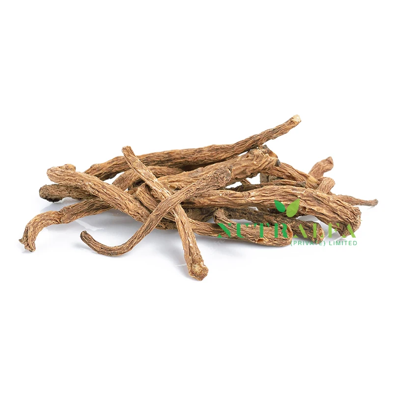 Top Grade Angelica Archangelica Roots for Health and Wellness Industry